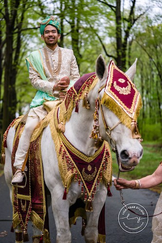 Indian wedding - Baarat - Groom on white horse - decorated horse for Indian wedding