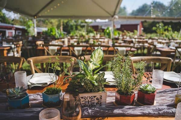 beautiful tented country chic multicultural wedding reception